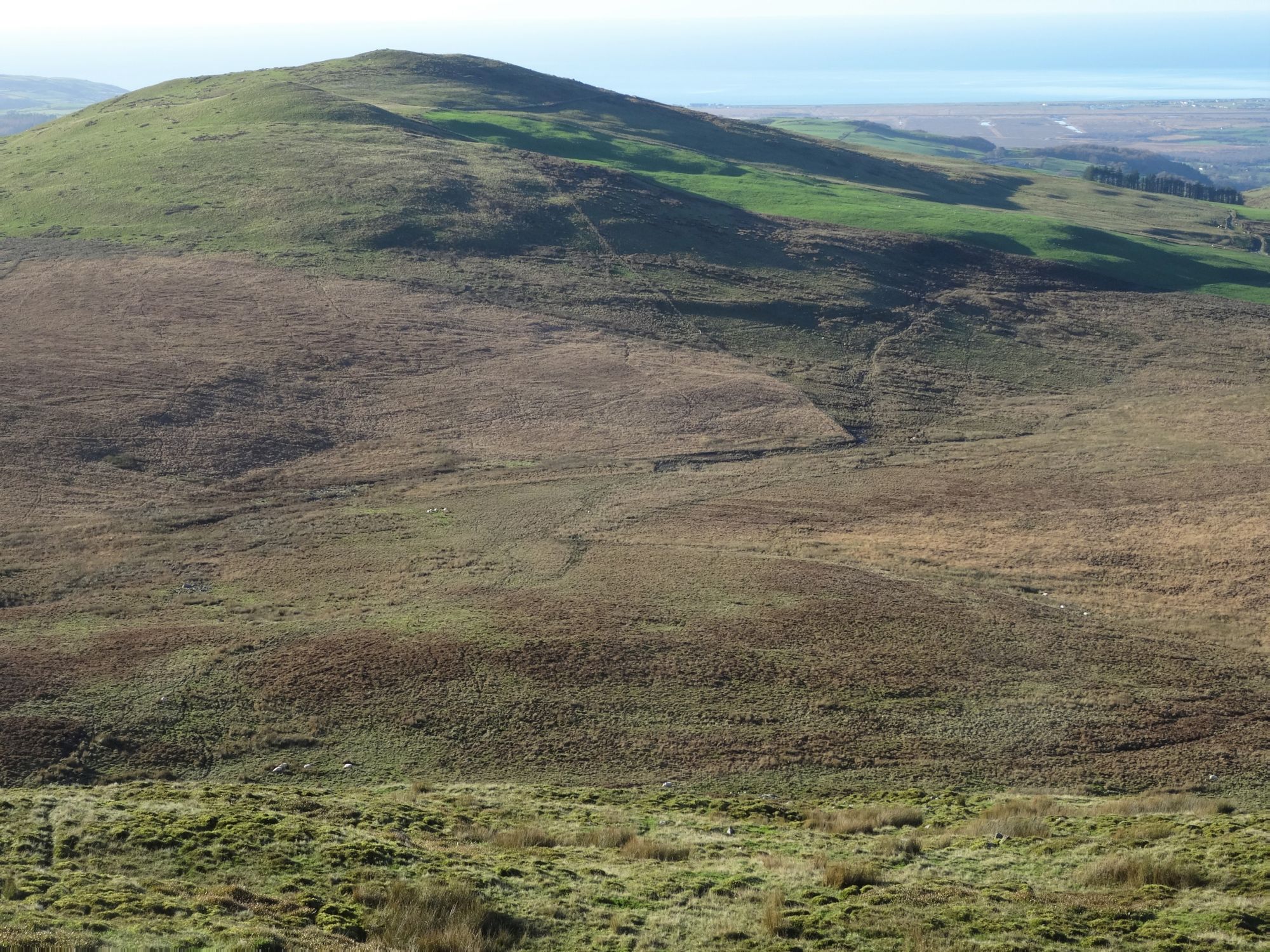 RachelSeabrook.net | Wild Walking | Moel y Llyn | pic27